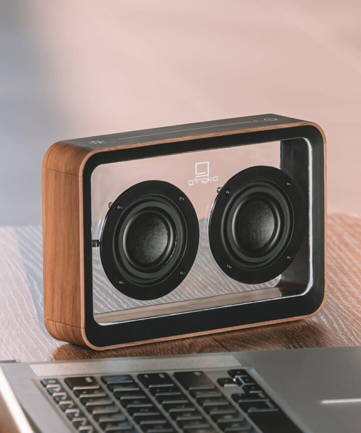 Gingko Design - Mage See-Through Speaker - Walnut