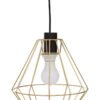 Wyra Champagne Gold Cage Pendant Light