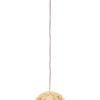 Leni Gold Finish Dome Pendant Light
