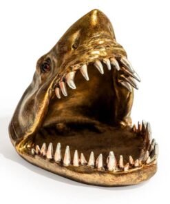 Shark Head Storage Dish