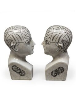 Antiqued Ceramic Phrenology Head Bookends/ Ornaments