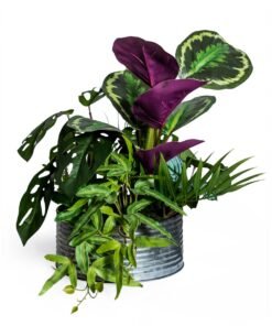 Ornamental Tropical Plant Arrangement in Tin Pot