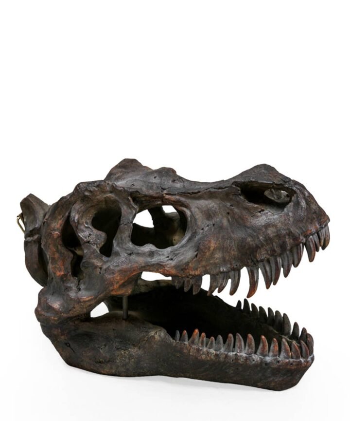 Large T-Rex Skull Wall Head with a weathered resin-cast look, fossilised cracks, and serrated teeth for a dramatic 3D statement.