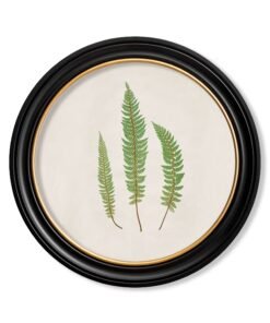 c.1857 Common Prickly Fern - Round Frame