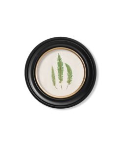 Alternative view of c.1857 Common Prickly Fern - Round Frame