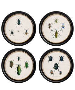 c.1836 Beetle Plates - Round Frame