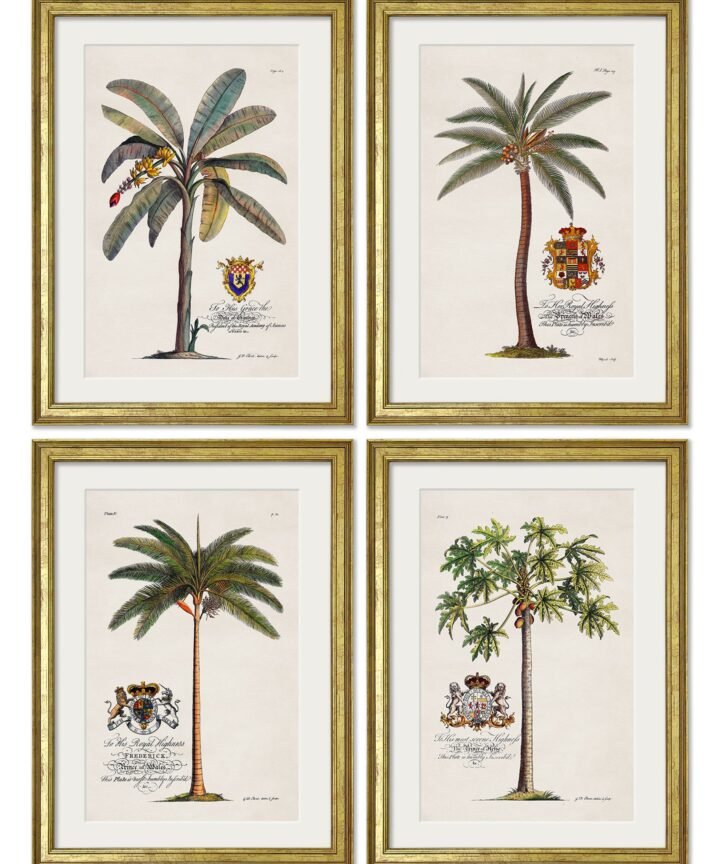 Studies of Palms
