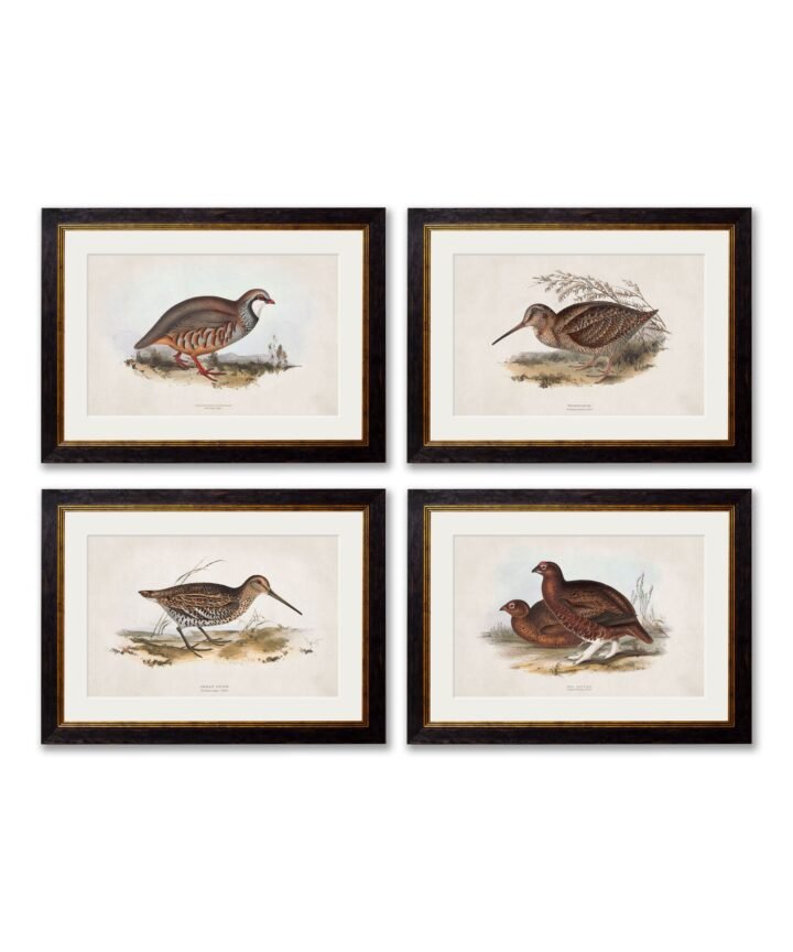 c.1837's British Game Birds