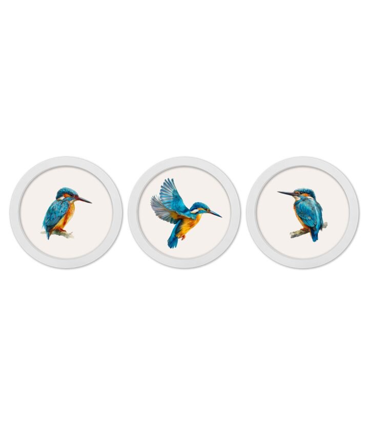 Watercolour Kingfishers - 30cm White Round Box Frame