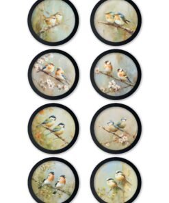 Garden Birds - 30cm Black Round Box Frame