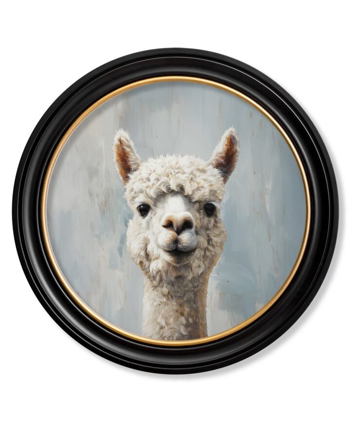 The Goofy Alpaca - Oxford Round Frame
