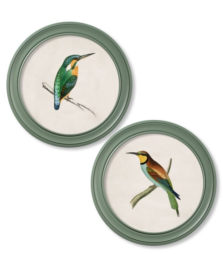 c.1870 Kingfisher and Bee Eater - Round Frame Green