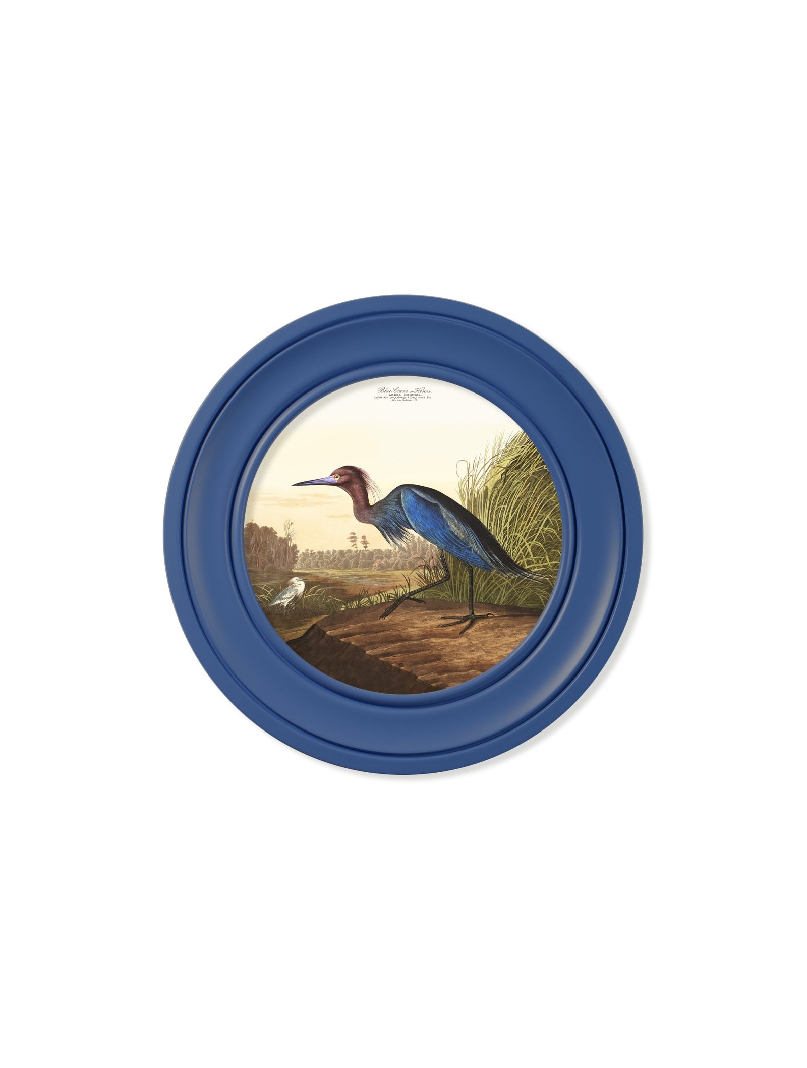 c.1838 Audubon's Blue Heron in Blue Frame - Image 2