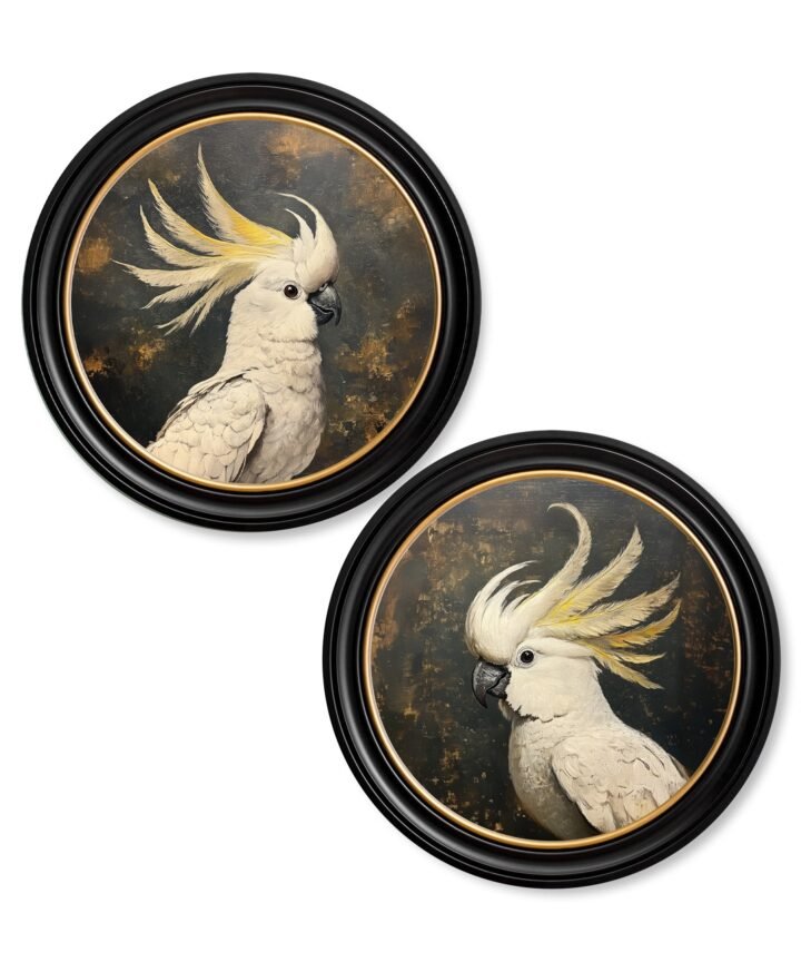 The Cockatoo Pair