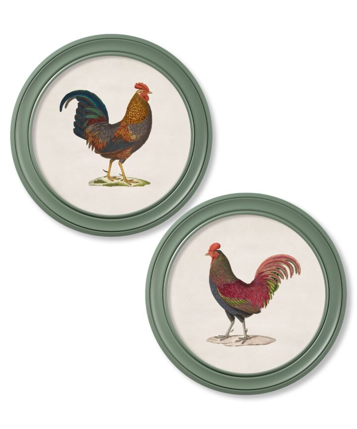 c.1838 Junglefowl in Round Frames Green