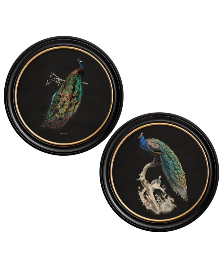 c.1847 Peacocks in Round Frames - Dark