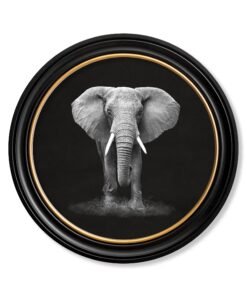 Wildlife Photography - Elephant - Round Frame