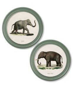 c.1846 Elephants in Round Frame Green