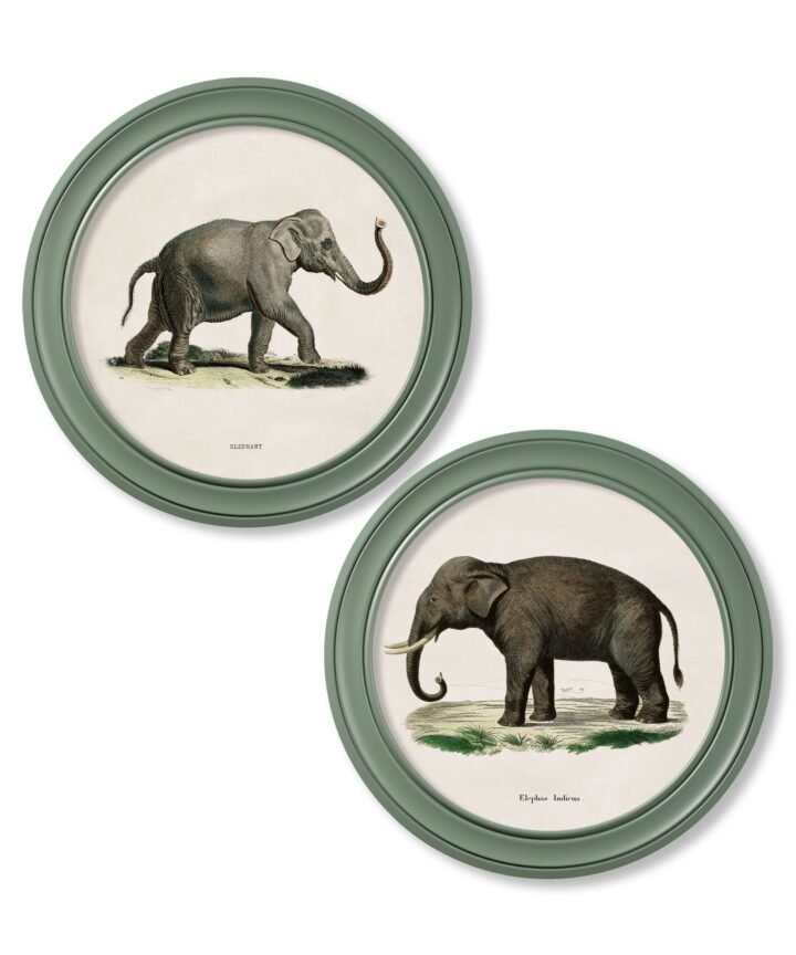 c.1846 Elephants in Round Frame Green