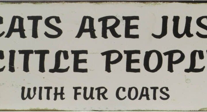 Cats Are Just Little People Plaque