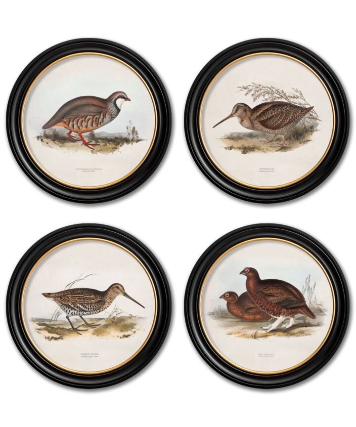 c.1837's British Game Birds - Round