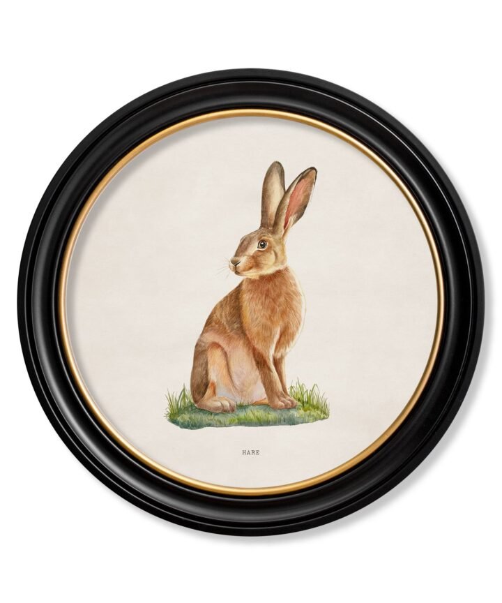 Hare - Round Frame