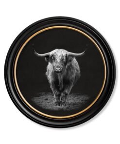 Wildlife Photography - Highland Cow - Round Frame