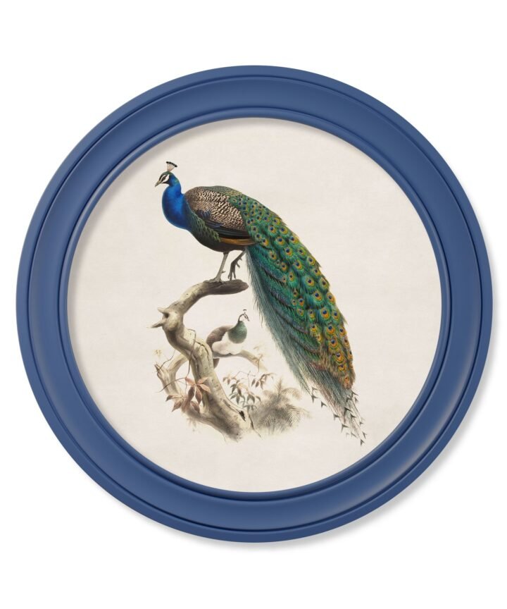 c.1847 Peacocks in Round Frames Light - Blue