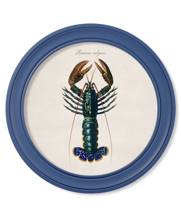 c.1876 Marine Lobster in Round Frames Blue