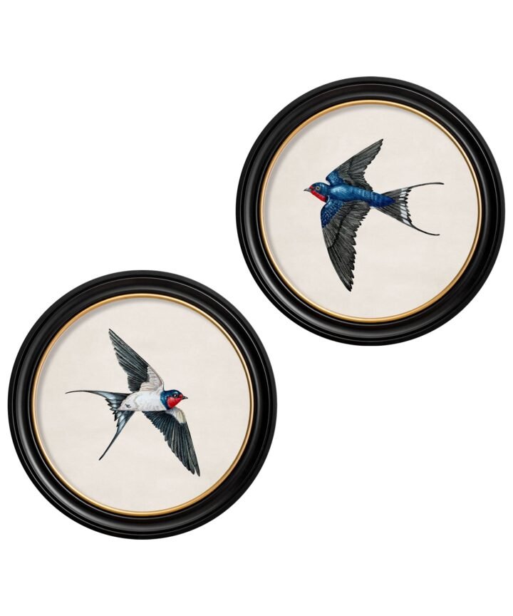 c.1875 Swallows in Round Frames