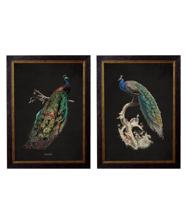 c.1847 Peacocks - Dark