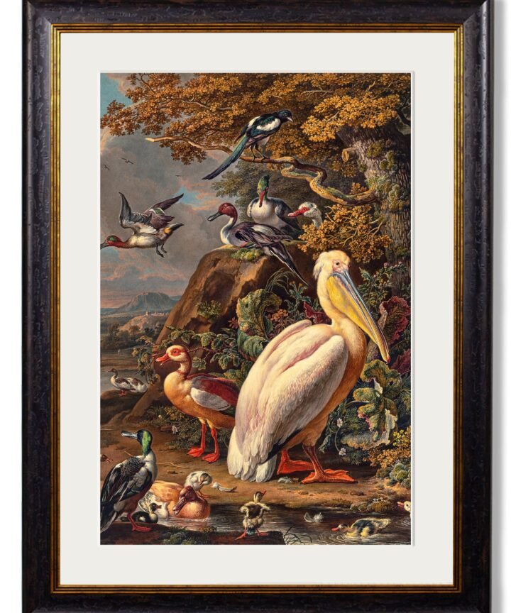 c.1683 Pelican Painting