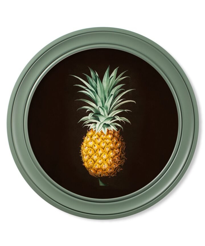 c.1812 Pineapple Study (Black) - Green Round Frame