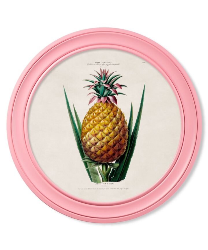 c.1843 Pineapple Plant - Round Frame Pink