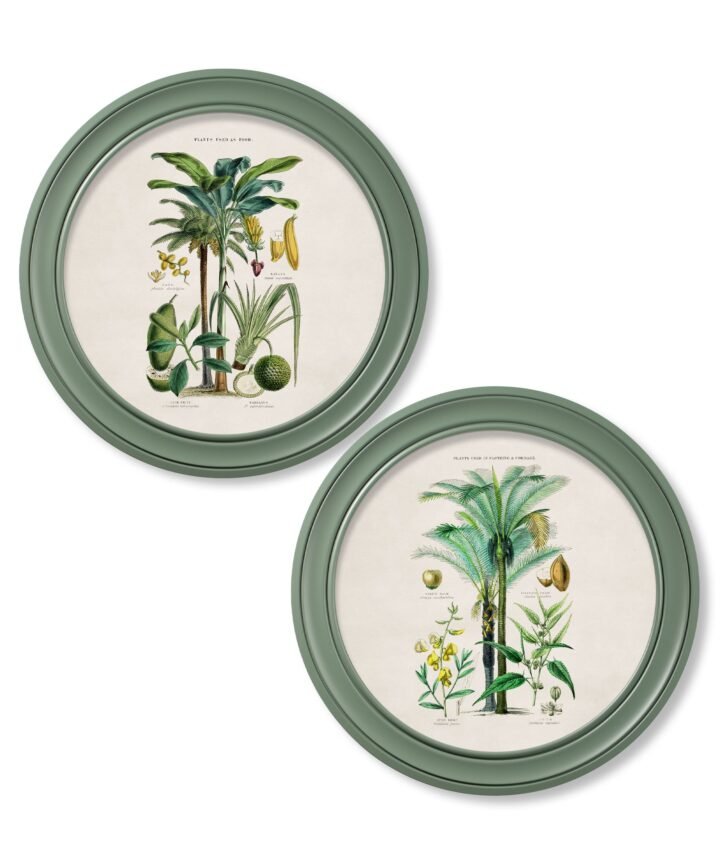 c.1877 Tropical Plants Used as Food and Clothing - Round Frame Green
