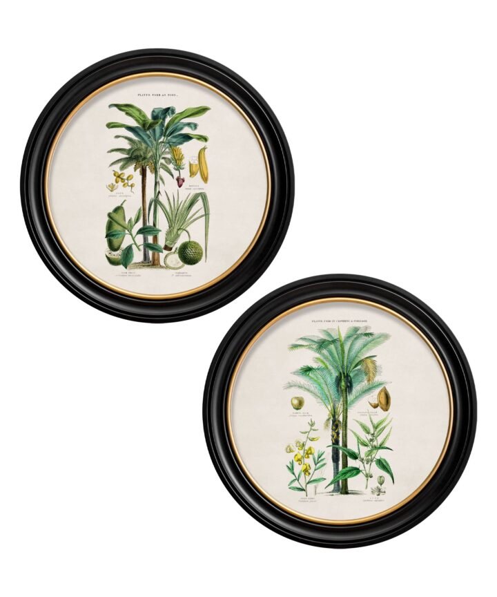 c.1877 Tropical Plants Used as Food and Clothing - Round Frame