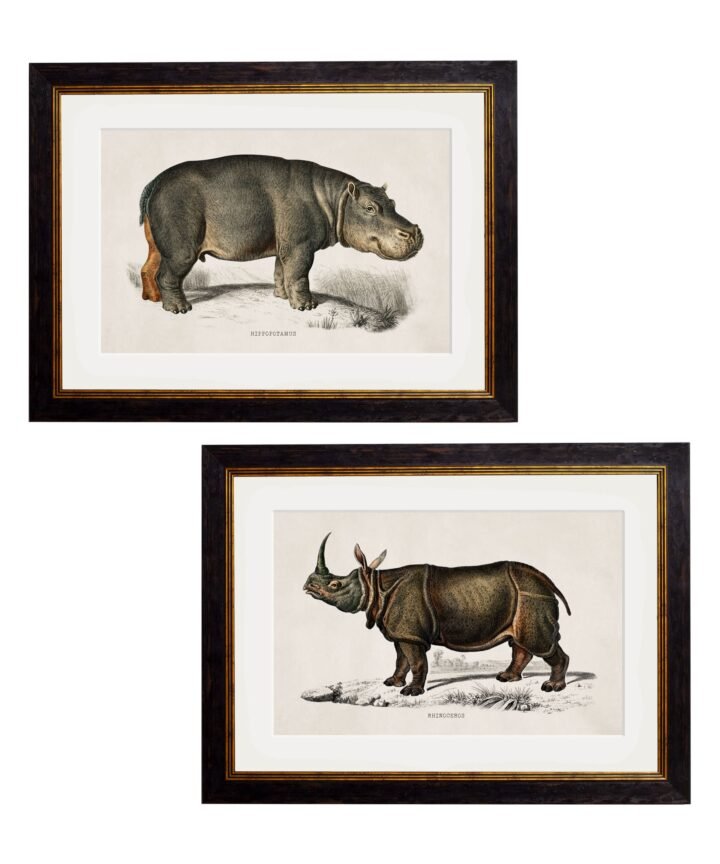 c.1846 Rhino & Hippo