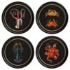 C.1876 Marine Animals in Round Frames - Black
