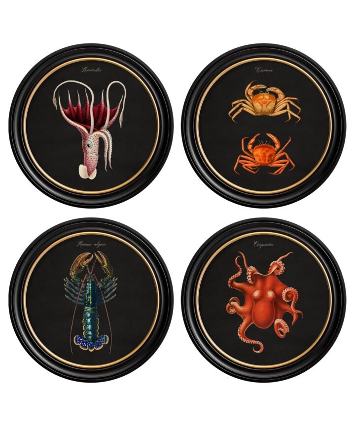 C.1876 Marine Animals in Round Frames - Black