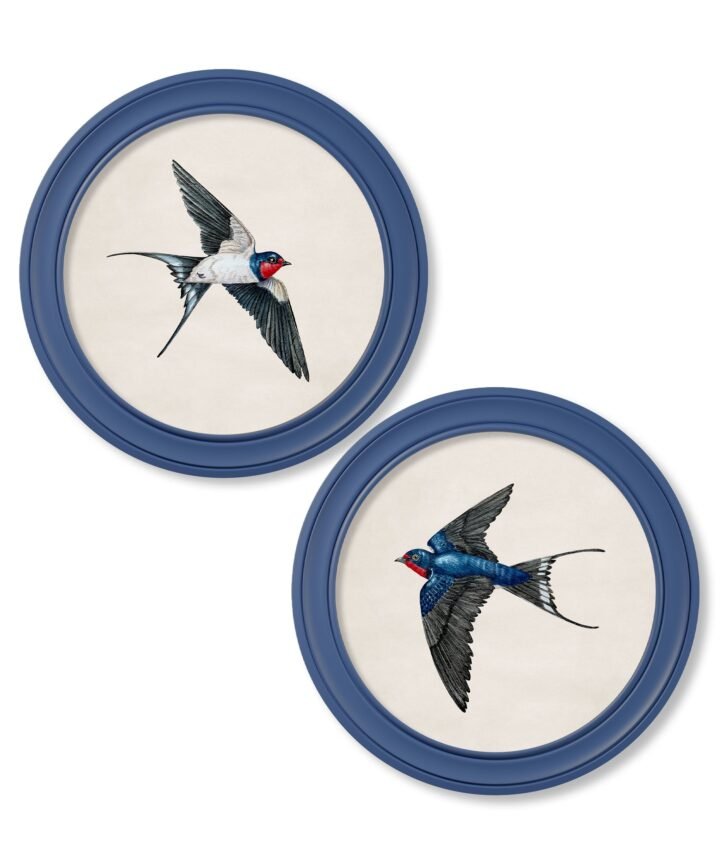 c.1875 Swallows in Round Frames Blue