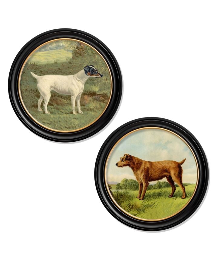 c.1881 Terriers - Round Frame