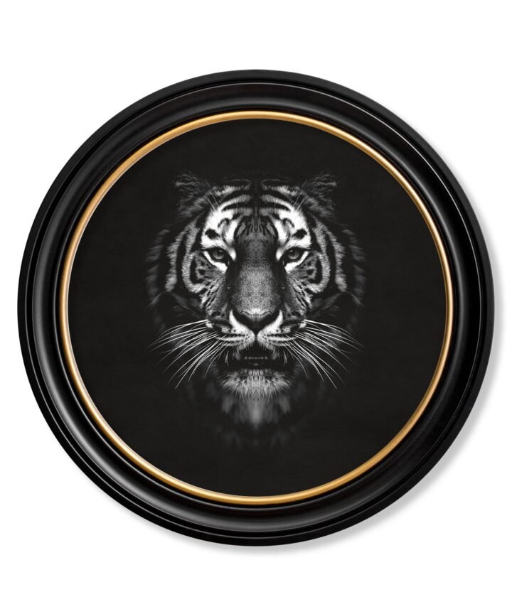 Wildlife Photography - Tiger - Round Frame
