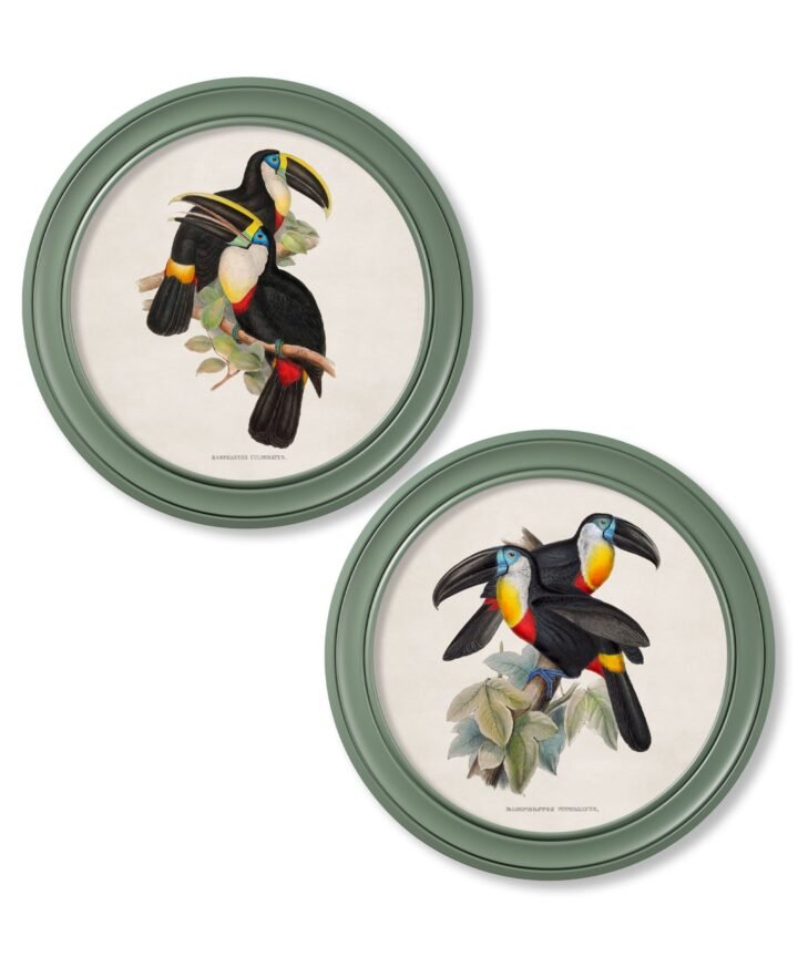 c.1848 Toucans - Round Frames Green