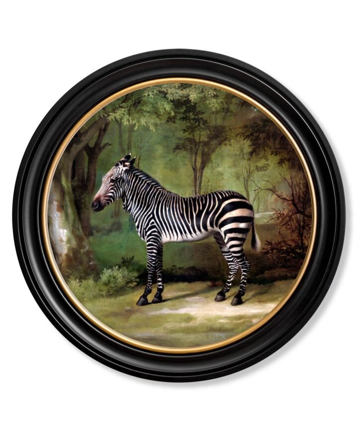 c.1763 George Stubb's Zebra - Round Frame