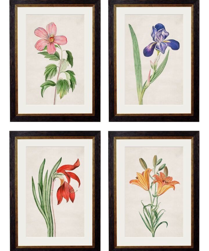 c.1780 Flowering Plants