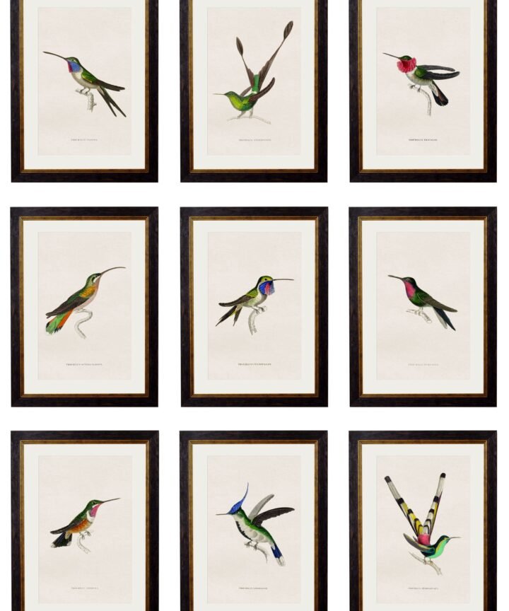 c.1833 Hummingbirds
