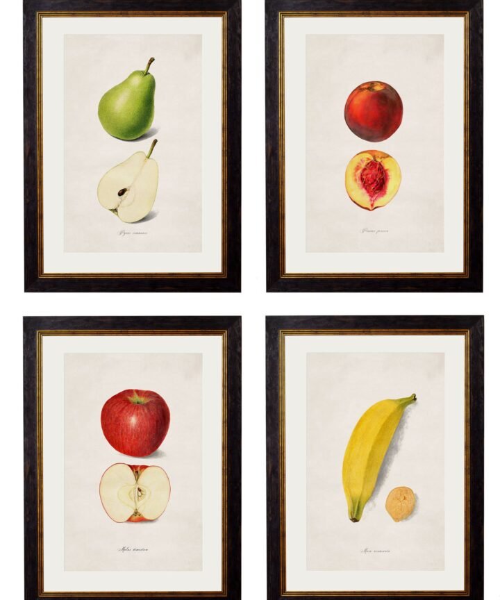 c.1886 Studies of Fruit