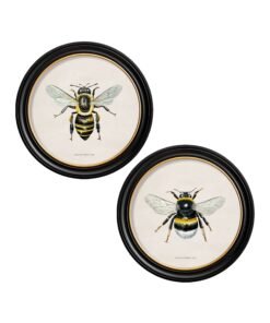 c1892 British Bees Round Frame