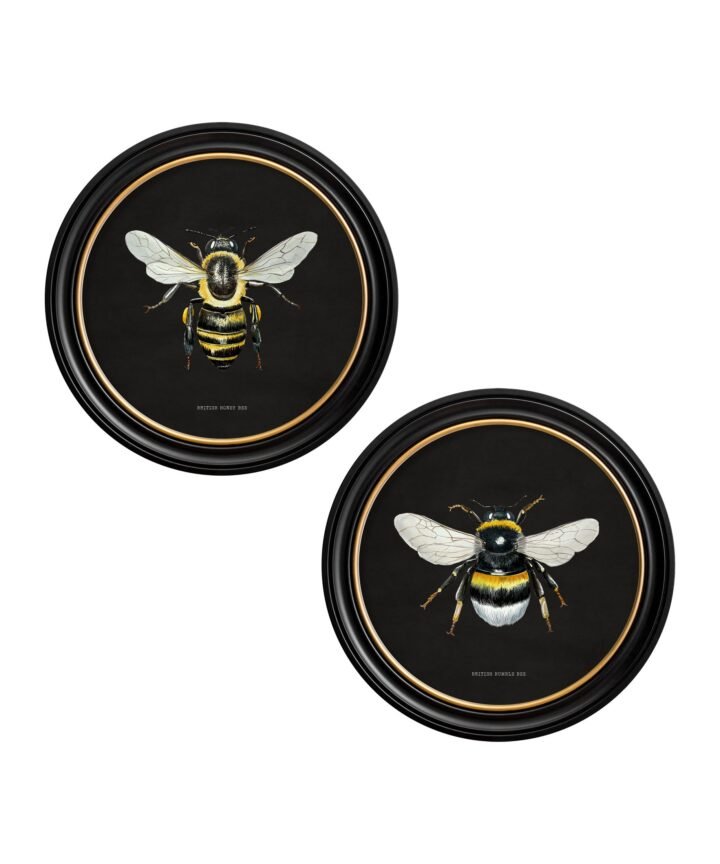 c892 British Bees Round Frame - Dark