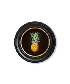 Alternative view of c.1812 Pineapple Study (Black) - Round Frame